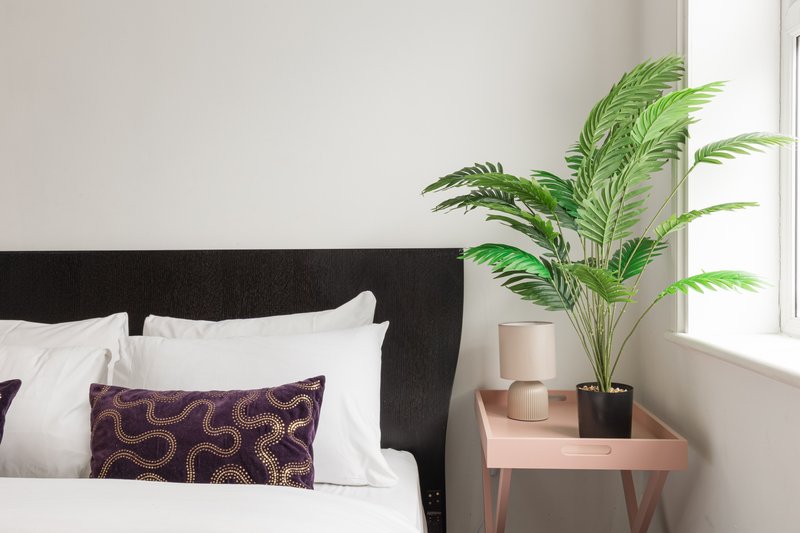Bedroom with black headboard, white pillows, patterned cushion, and potted plant on wooden side table