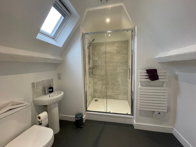 Bathroom with shower enclosure, toilet, sink, skylight and towel rack