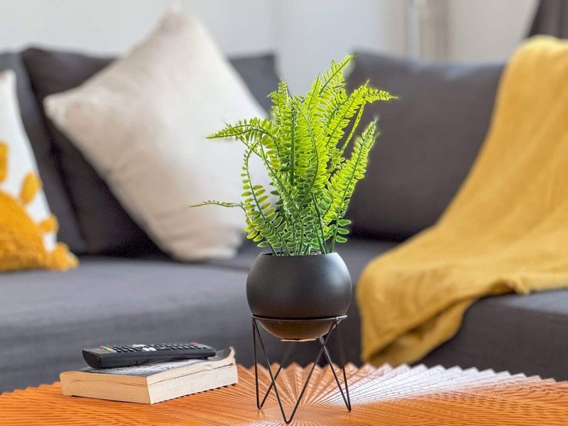 Living room with gray sofa, potted fern plant on wooden table, colorful cushions and throws