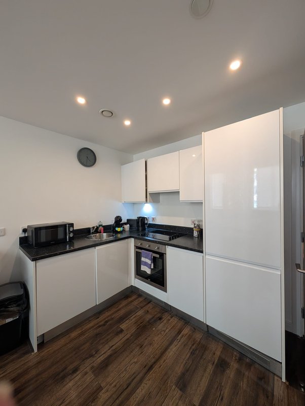 Modern kitchen with white cabinetry, black countertops, integrated appliances and wooden flooring
