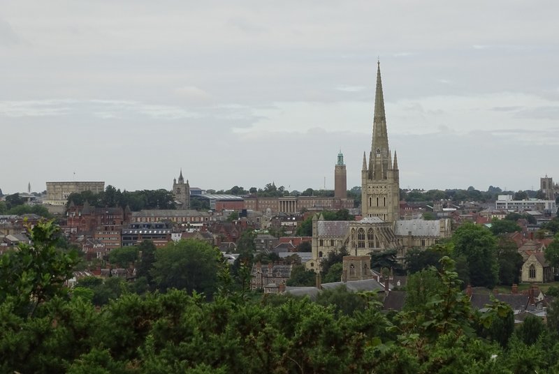Distant cityscape view with cathedral spire and historic buildings surrounded by green trees