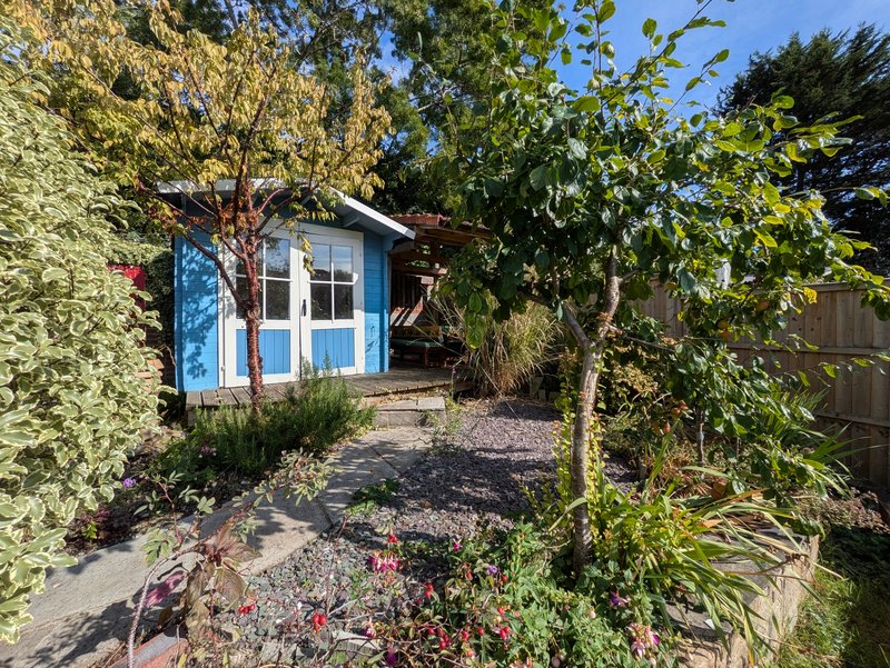 Blue garden shed with white-framed windows surrounded by climbing vines and flowering plants