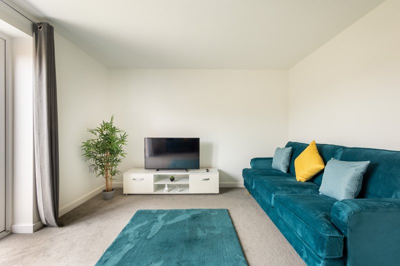 Modern living room with teal sofa, TV stand, potted plant and blue rug