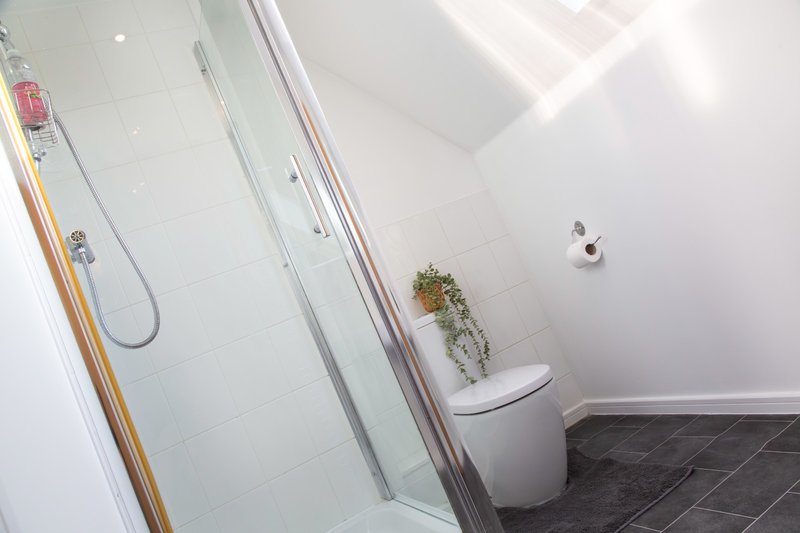 Modern bathroom with walk-in shower, white toilet, and small potted plant