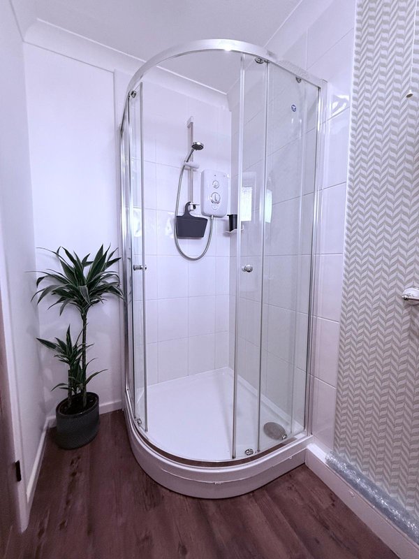 Modern bathroom with curved glass shower enclosure, potted plant, and chevron-patterned curtain