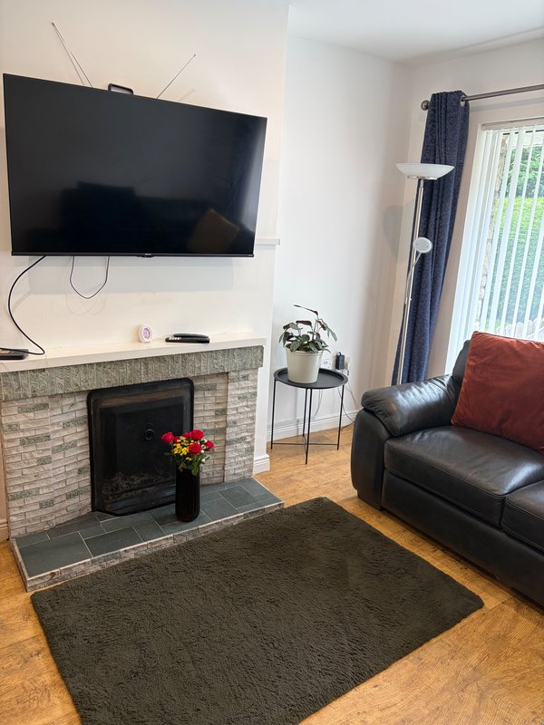 Living room with wall-mounted TV, brick fireplace with electric stove, leather sofa and red cushion