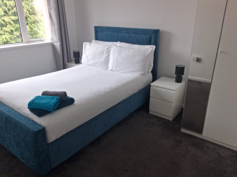 Modern bedroom with blue upholstered bed, white bedding, side table, and window with natural light