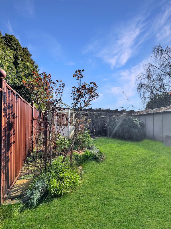 Backyard garden with lawn, corrugated metal fencing, climbing vines and trees