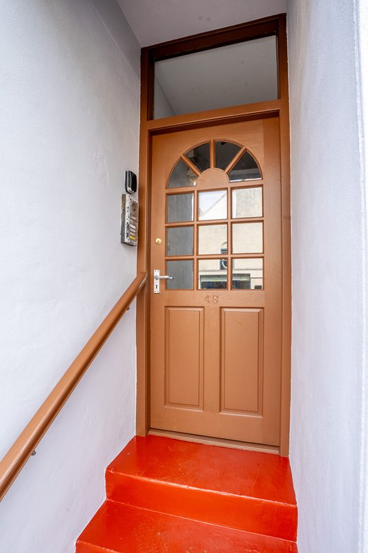Wooden entrance door with fanlight and red painted steps, handrail on side