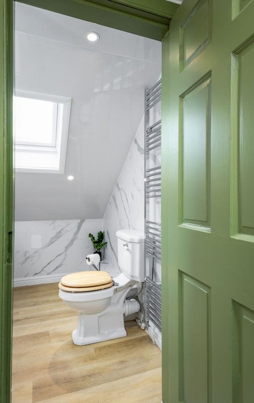 Modern bathroom with white toilet, marble tile walls, wooden floor and green door