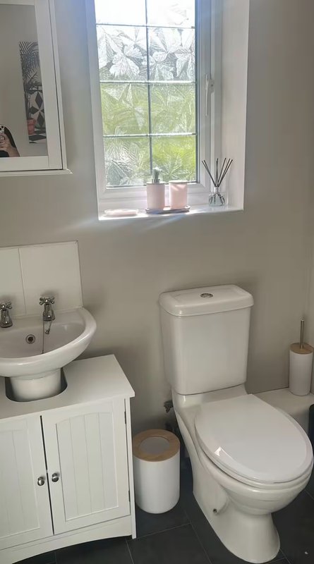 Modern bathroom with toilet, sink vanity, window and potted plants on sill