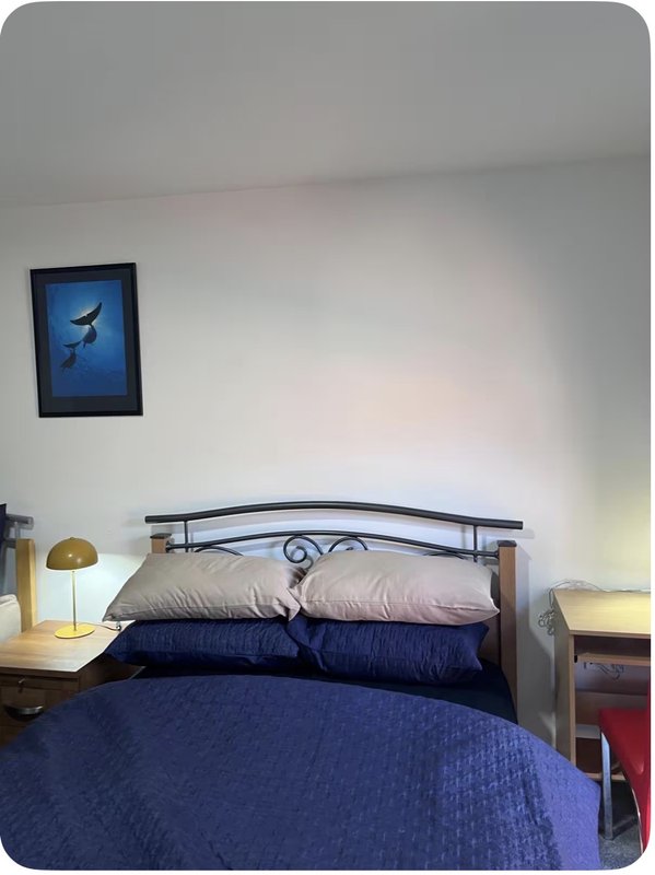 Bedroom with metal-framed bed, blue bedding, pillows, framed artwork, and bedside lamp
