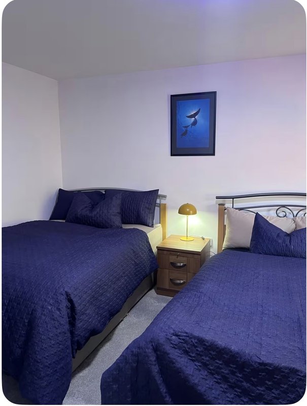 Bedroom with two single beds, navy bedding, wooden nightstand with lamp, and framed artwork on wall