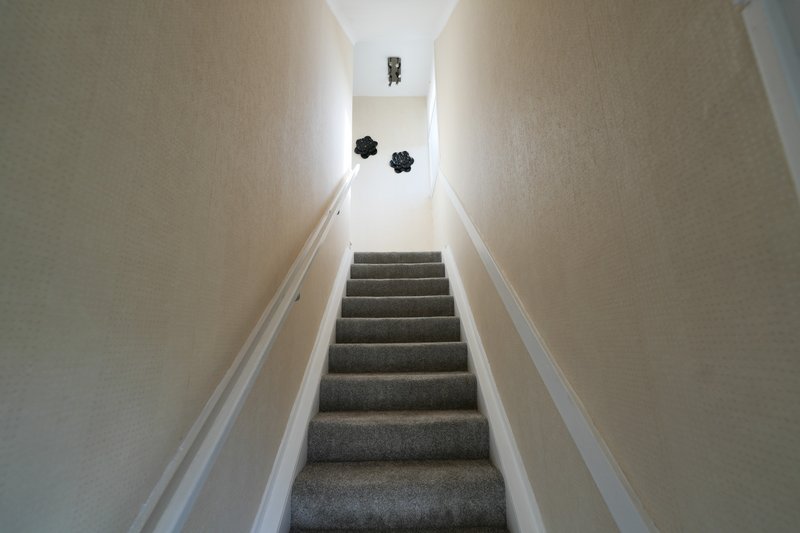 Interior staircase with gray carpet, white walls, and skylight at top