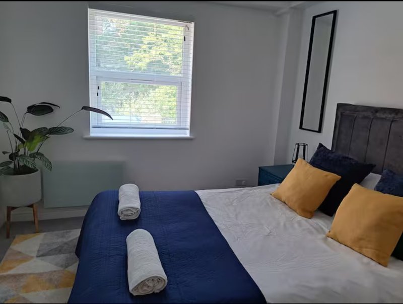 Bedroom with double bed, blue throw, yellow pillows, potted plant and window with blinds