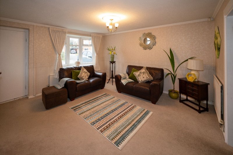 Spacious living room with two brown sofas, striped rug, potted plants and ceiling light