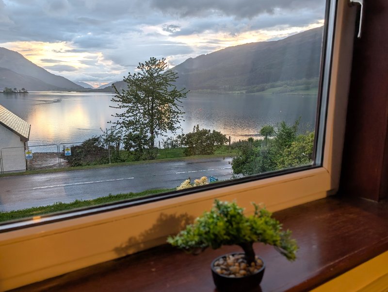 Window view of mountains and lake with small bonsai tree on sill