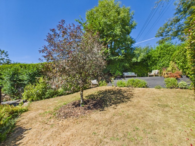 Residential backyard with mature trees, sloped lawn, garden beds and residential buildings
