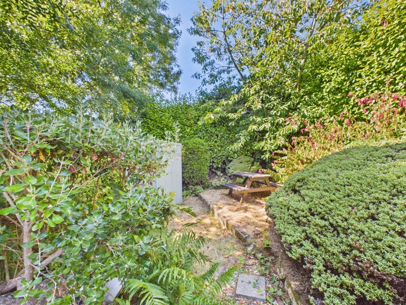 Garden pathway with wooden benches, lush green hedges and climbing ivy