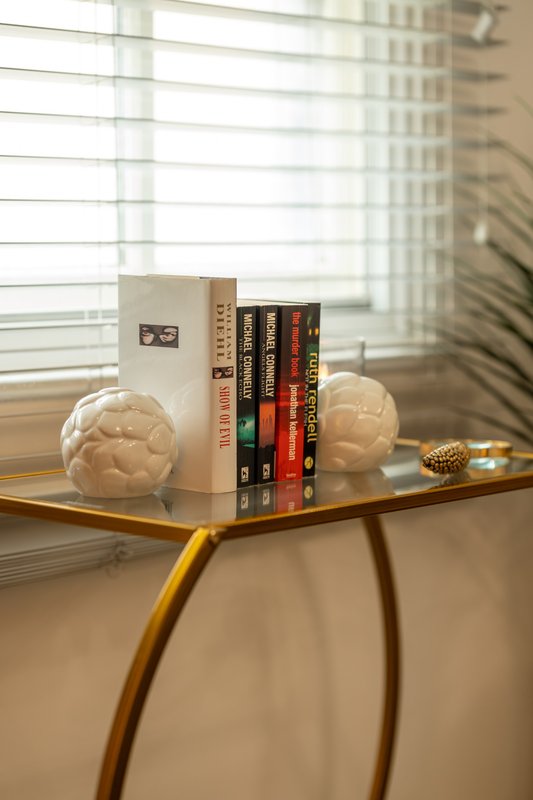 Wooden shelf with books, decorative brain bookends, small sculpture and window blinds behind