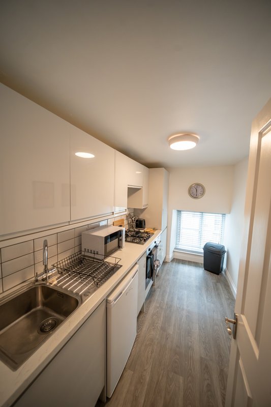 Modern galley kitchen with white cabinetry, stainless steel sink, and wood-effect flooring