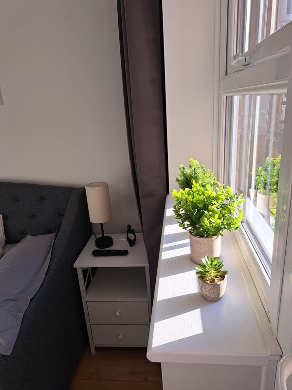 Bright bedroom with black upholstered bed, white nightstand, lamp, potted plants and large windows