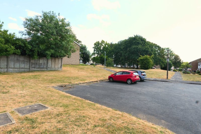 Driveway and parking area with two parked cars, surrounding grass and trees
