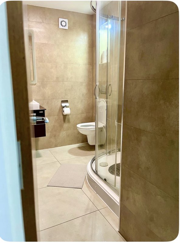 Modern bathroom with walk-in shower, toilet, and heated towel rail