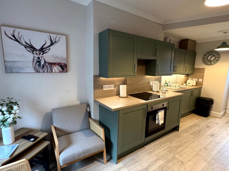 Open-plan kitchen and living area with green cabinetry, grey armchair, and framed deer artwork on wall