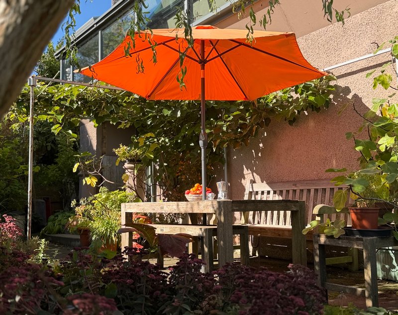 Outdoor patio area with orange umbrella, wooden furniture, and lush garden plants