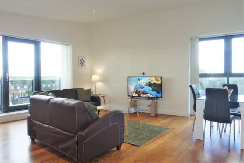 Open-plan living room with brown sofa, flat-screen TV, wooden flooring and large windows overlooking city