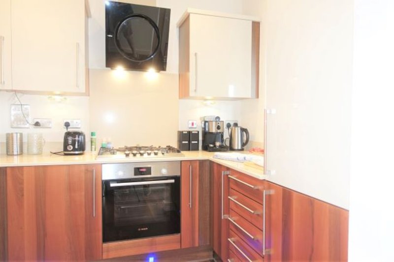 Modern kitchen with wooden cabinets, gas hob, oven and stainless steel appliances
