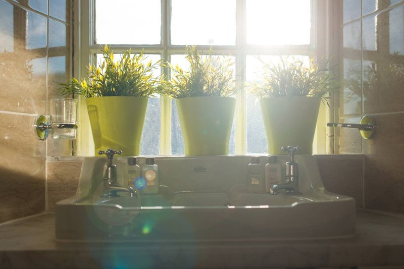 Bathroom window sill with potted plants and toiletries, natural light from windows