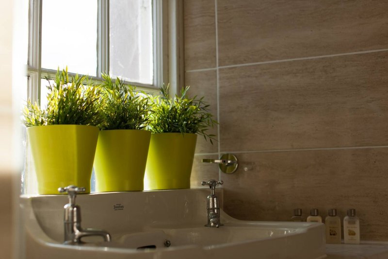 Modern bathroom with double sink, brown tile wall, and yellow potted plants on windowsill