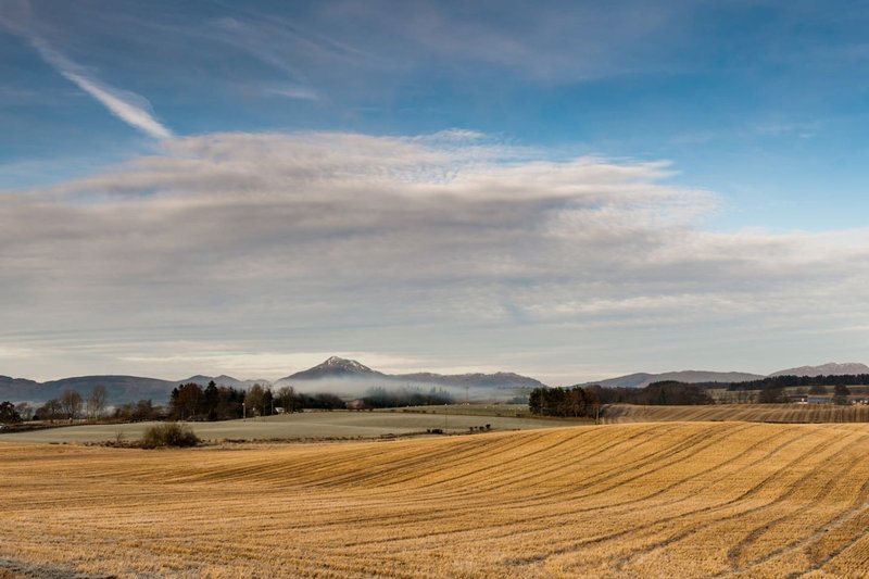 Rural landscape with harvested field, distant mountains, and blue sky