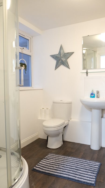 Bathroom with toilet, pedestal sink, mirror, star decoration, and striped mat