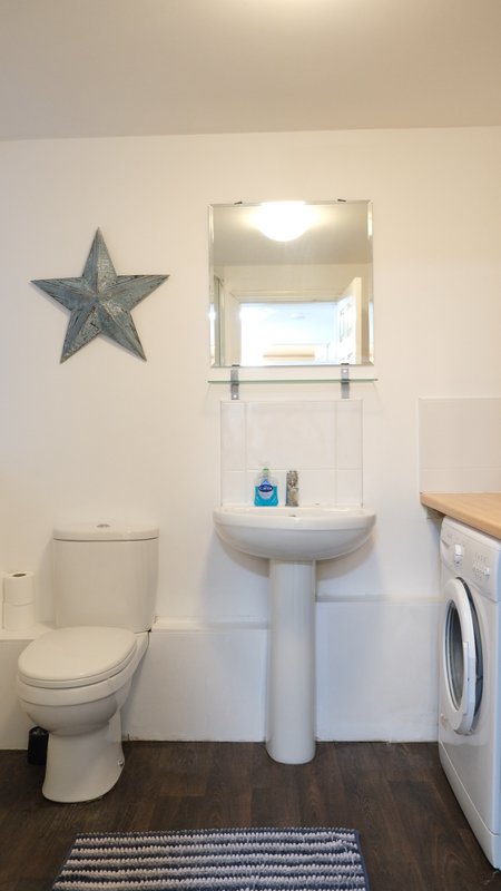 Bathroom with toilet, pedestal sink, mirror, washing machine and star wall decoration