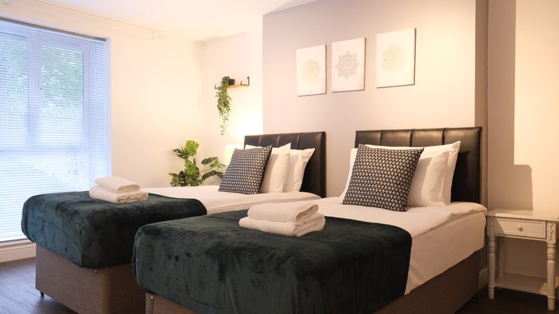 Modern bedroom with two single beds, dark headboards, white bedding, and hanging plants