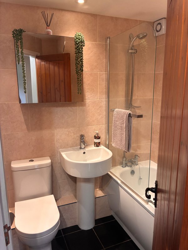 Modern bathroom with pedestal sink, toilet, shower enclosure, and mirror cabinet