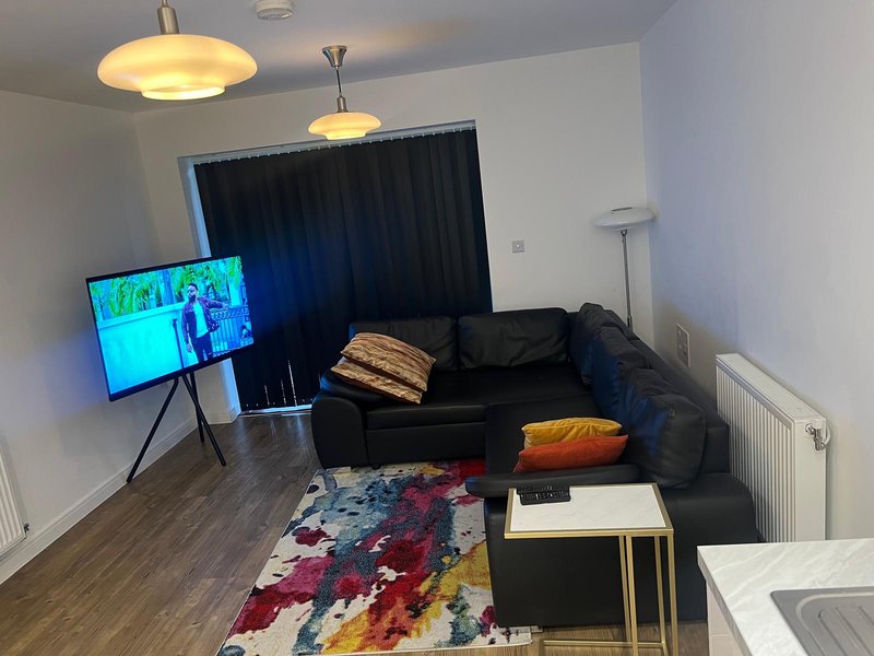 Modern living room with black sofa, colorful area rug, TV on stand, and pendant lighting