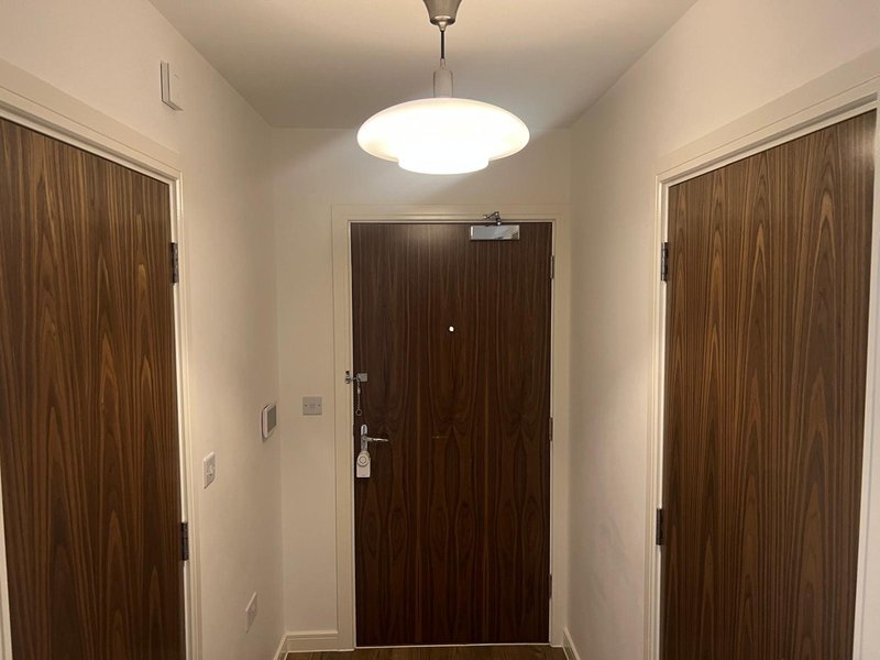 Bright hallway with dark wood doors, white walls and ceiling light fixture