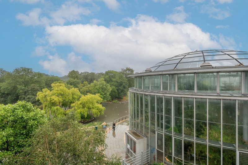 Central Apt | Garden View | Free Private Parking