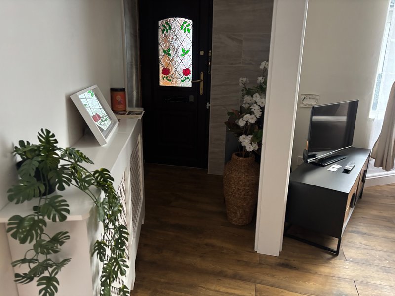 Hallway with wooden flooring, potted plants, framed artwork, TV, and open doorway