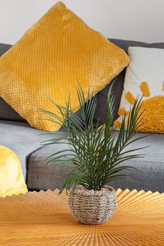 Living room sofa with yellow cushions, potted plant, and warm lighting