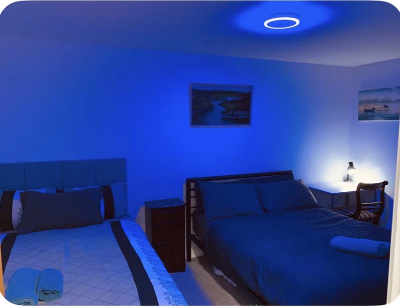 Bedroom with two beds, blue ambient lighting, framed pictures on walls and bedside lamp