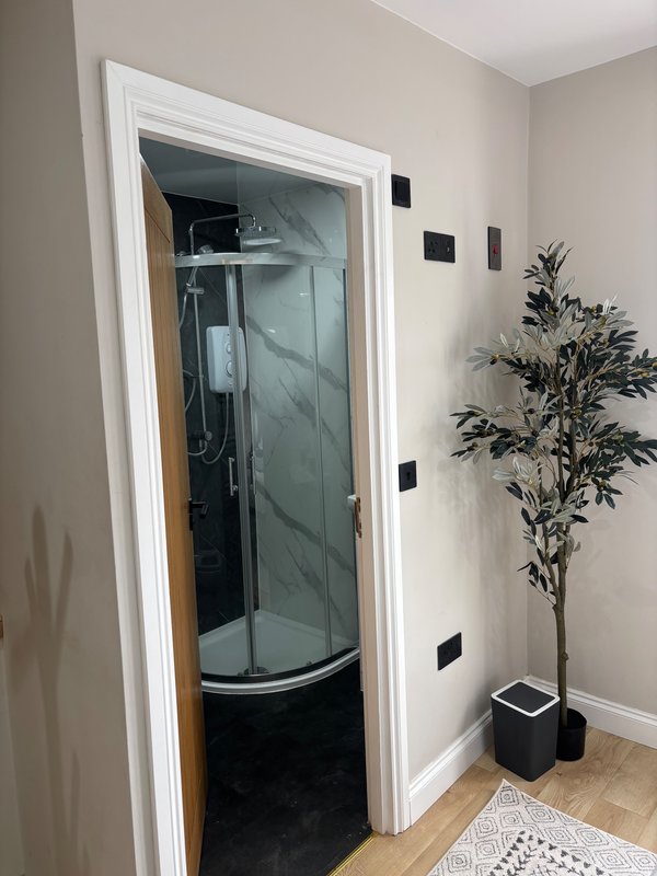 Modern bathroom entrance with curved shower enclosure, potted plant, and neutral wall decor