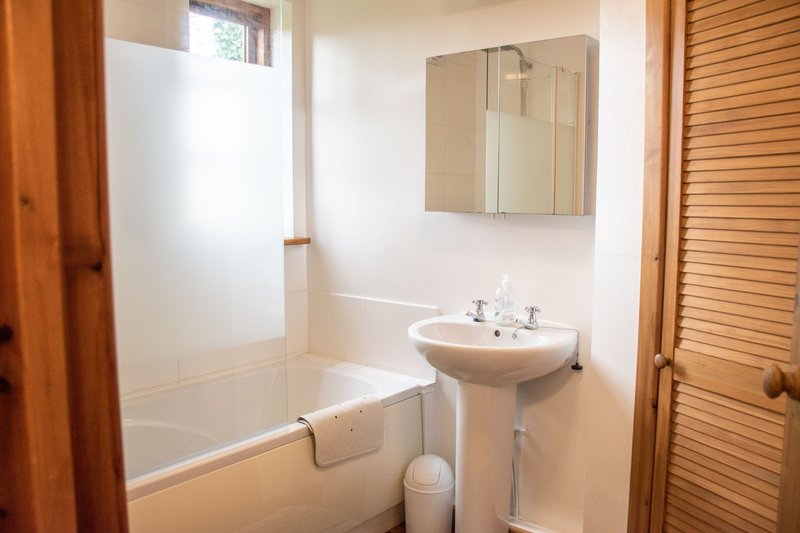 Clean bathroom with bathtub, pedestal sink, mirror cabinet and wooden louvred door