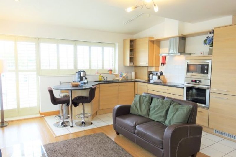 Hampton Court 2 bed 2 bath with river view terrace