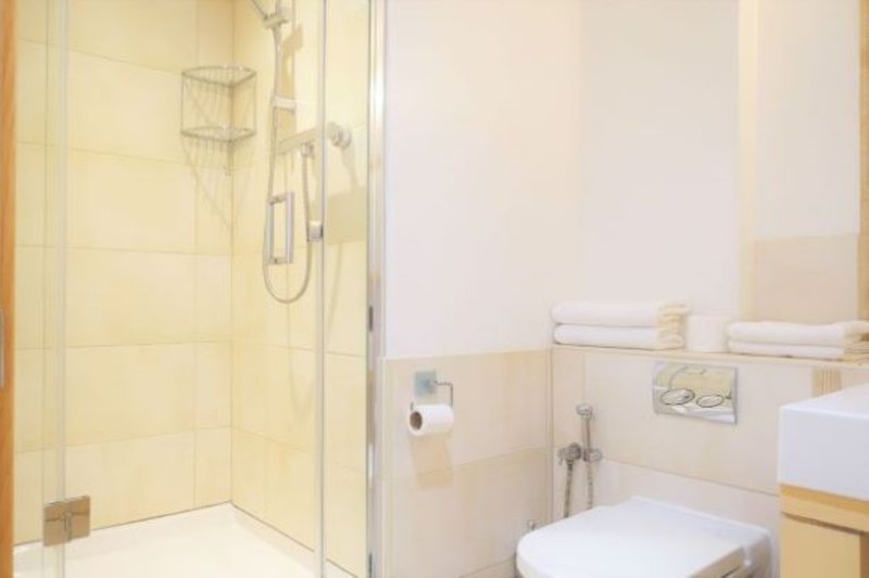 Modern bathroom with shower enclosure, toilet, sink and white towels on shelf