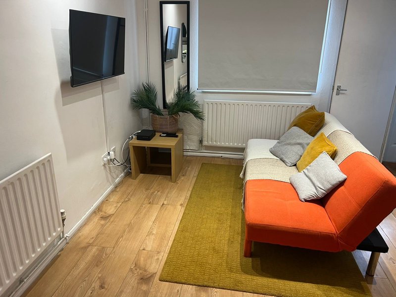 Compact studio with orange sofa, wall-mounted TV, wooden flooring and yellow rug.